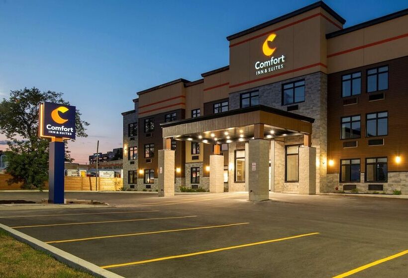 호텔 Comfort Inn & Suites