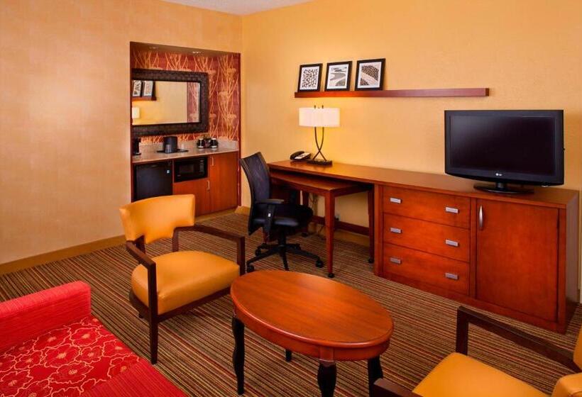 هتل Courtyard By Marriott Baton Rouge Acadian Centre/lsu Area