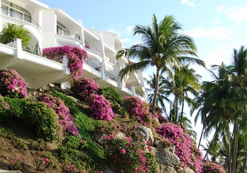 فندق Dolphin Cove Inn