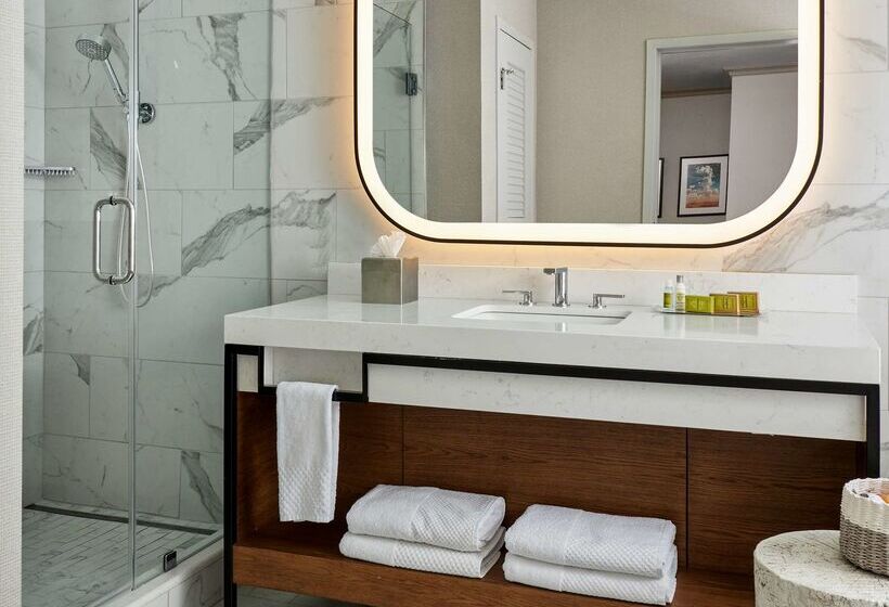 Doubletree By Hilton Hotel Dallas – Love Field