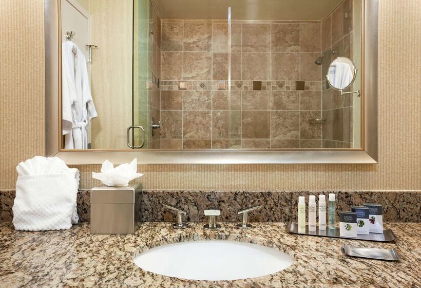 Doubletree By Hilton Hotel Dallas – Love Field