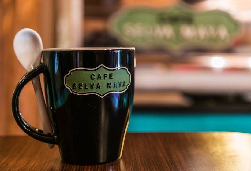 فندق El Mirador   Balderrama Collection