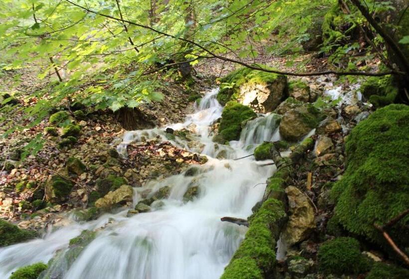 Forellenhof Rössle Hotel & Restaurant