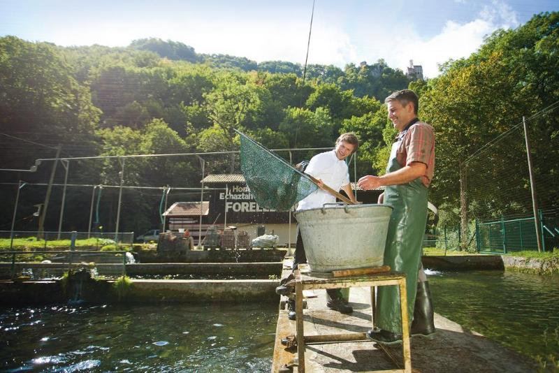 Forellenhof Rössle Hotel & Restaurant