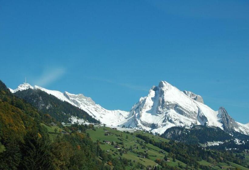 酒店 Gasthaus Schäfli