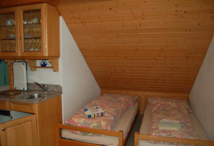 酒店 Gasthaus Schäfli