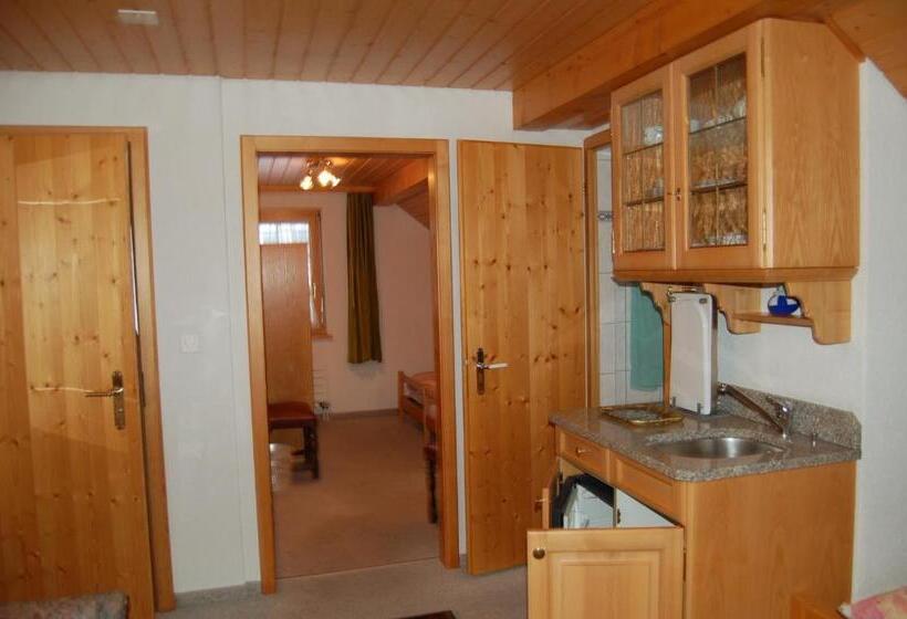 酒店 Gasthaus Schäfli