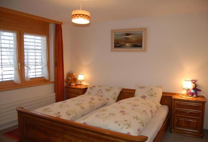 酒店 Gasthaus Schäfli