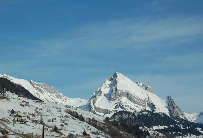 酒店 Gasthaus Schäfli