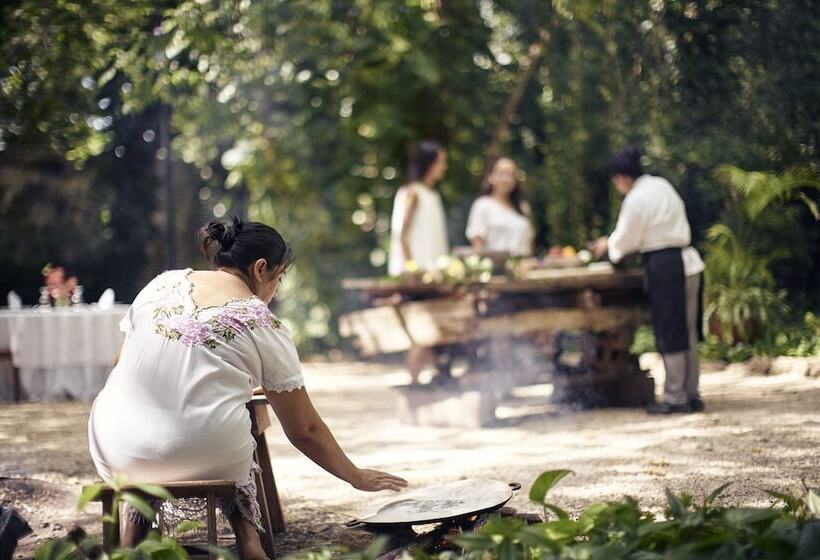 בית מלון כפרי Hacienda Temozon Sur