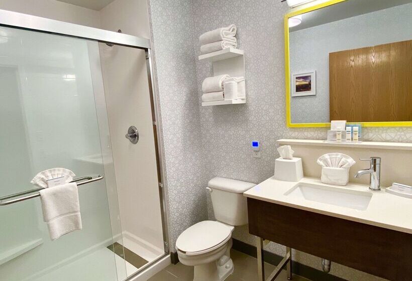 فندق Hampton Inn & Suites Phoenix Goodyear