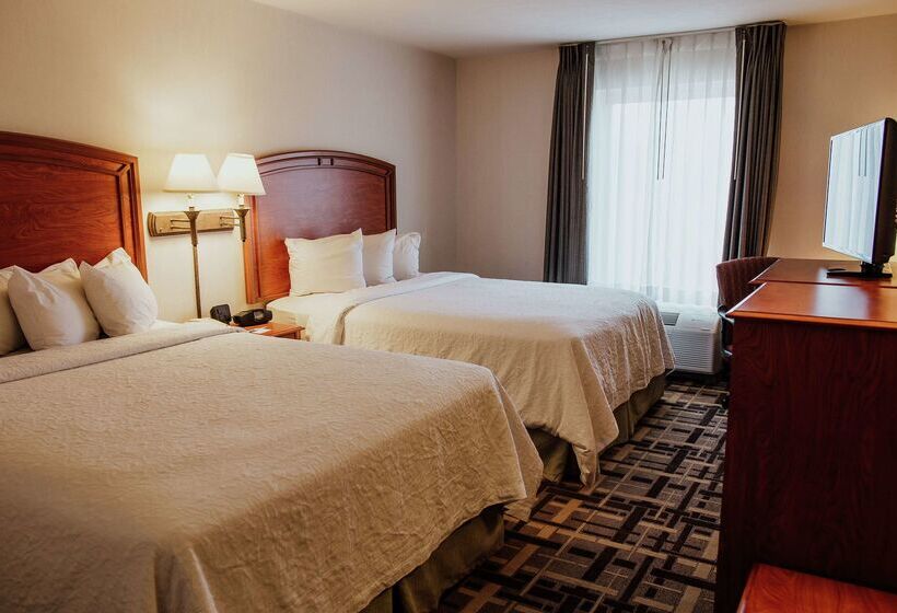 בית מלון כפרי Hampton Inn By Hilton Torreónairport Galerías