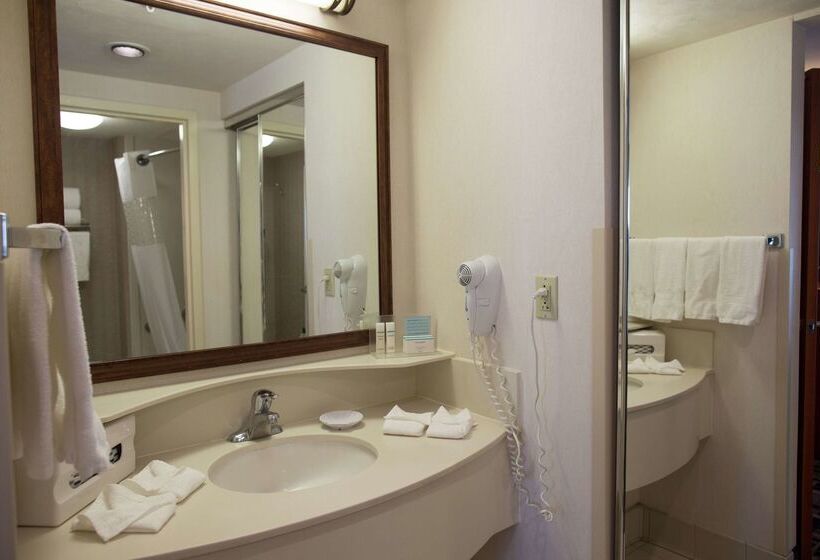 בית מלון כפרי Hampton Inn By Hilton Torreónairport Galerías