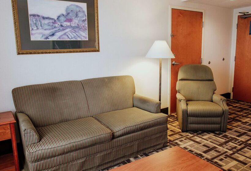 בית מלון כפרי Hampton Inn By Hilton Torreónairport Galerías