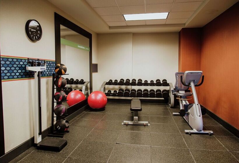 בית מלון כפרי Hampton Inn By Hilton Torreónairport Galerías