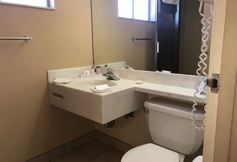 בית מלון כפרי Elevation Lodge