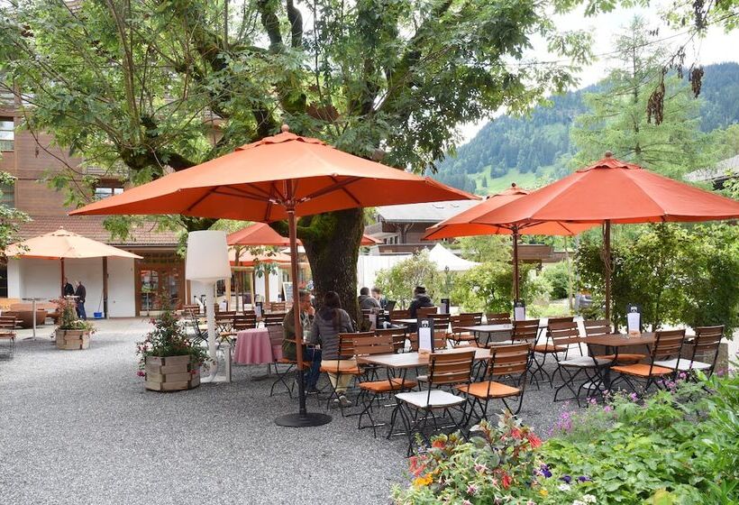 Отель Krone Lenk