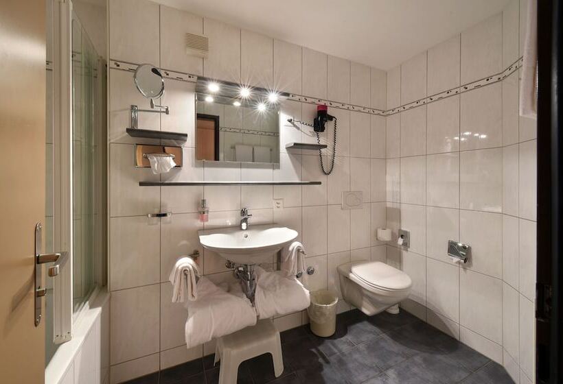 Отель Krone Lenk