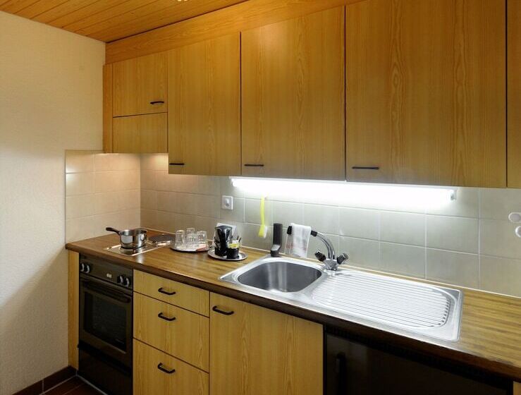 Отель Krone Lenk