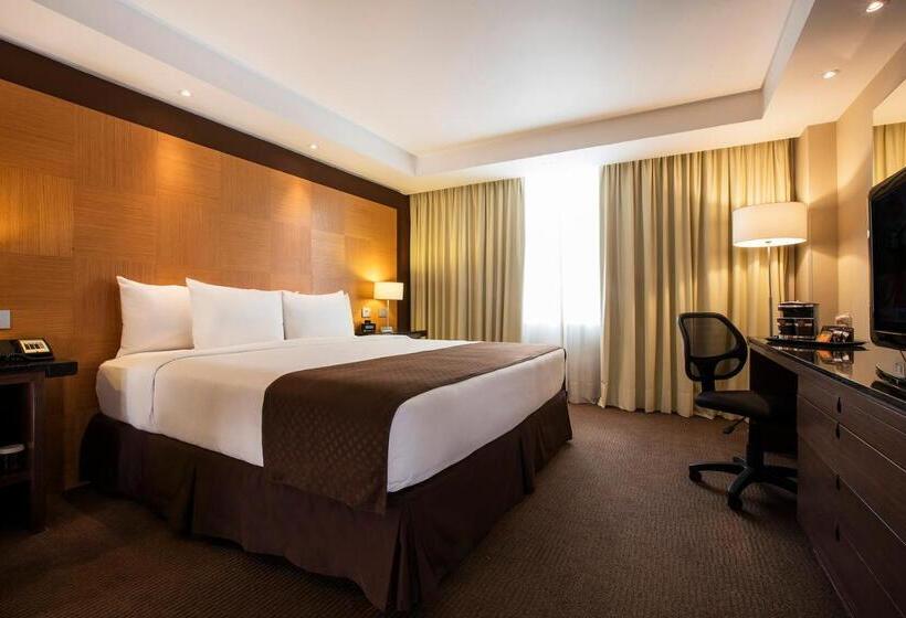 ホテル Krystal Urban Aeropuerto Ciudad De Mexico