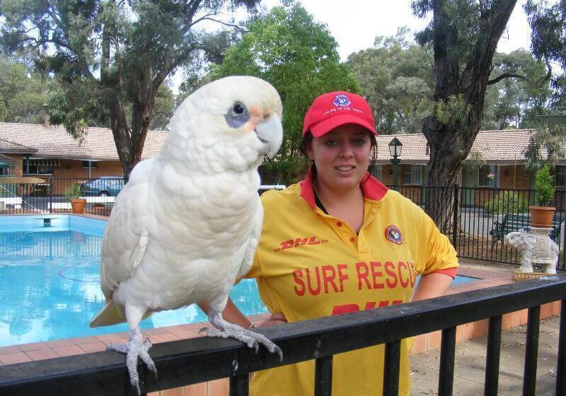 Mu S Boutique Motel Matthew Flinders