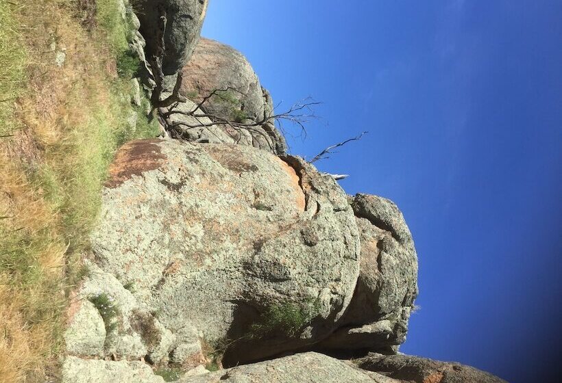 هتل Meramie Motor Inn