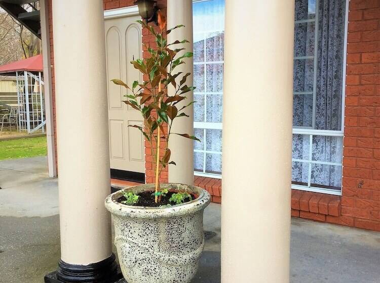 هتل Meramie Motor Inn