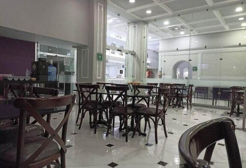 Отель Roma Guadalajara In Downtown