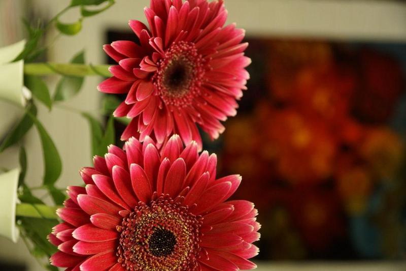 Отель Roth Am Strande