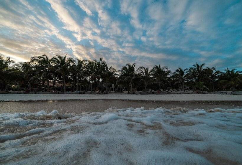 فندق Selina Tulum