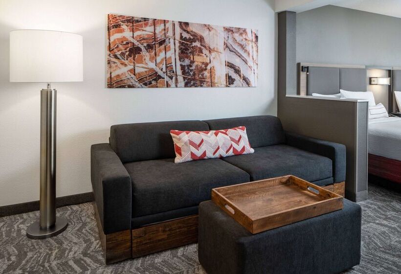 هتل Sonesta Select Nashville Airport Suites