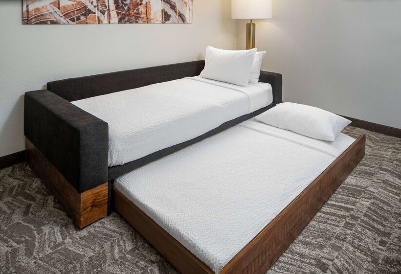 هتل Sonesta Select Nashville Airport Suites