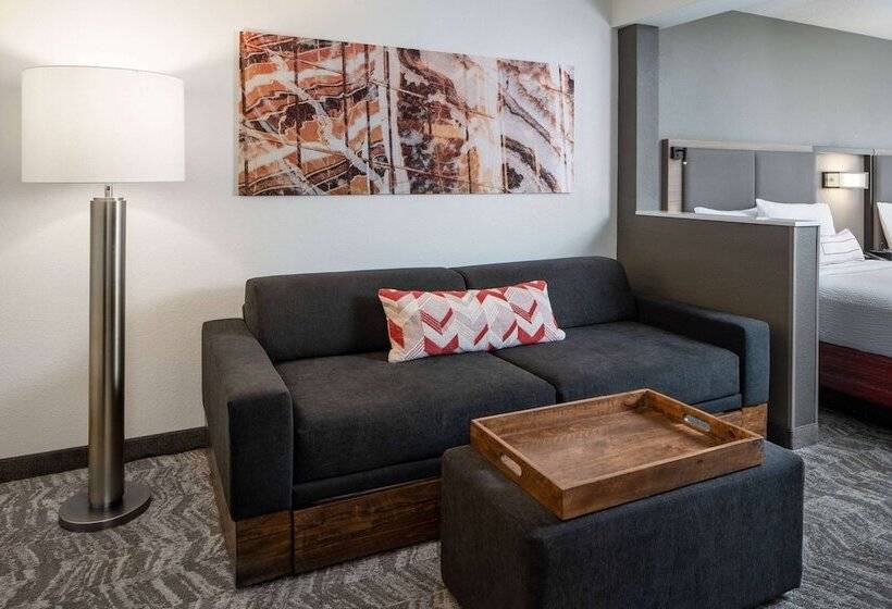 هتل Sonesta Select Nashville Airport Suites