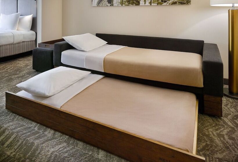 酒店 Springhill Suites Charlotte University Research Park