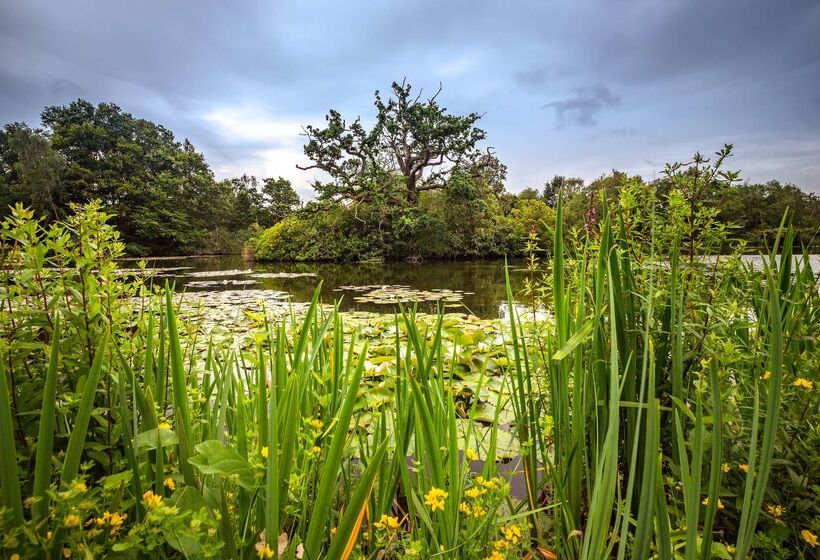 호텔 Stoke Place  Part Of The Cairn Collection