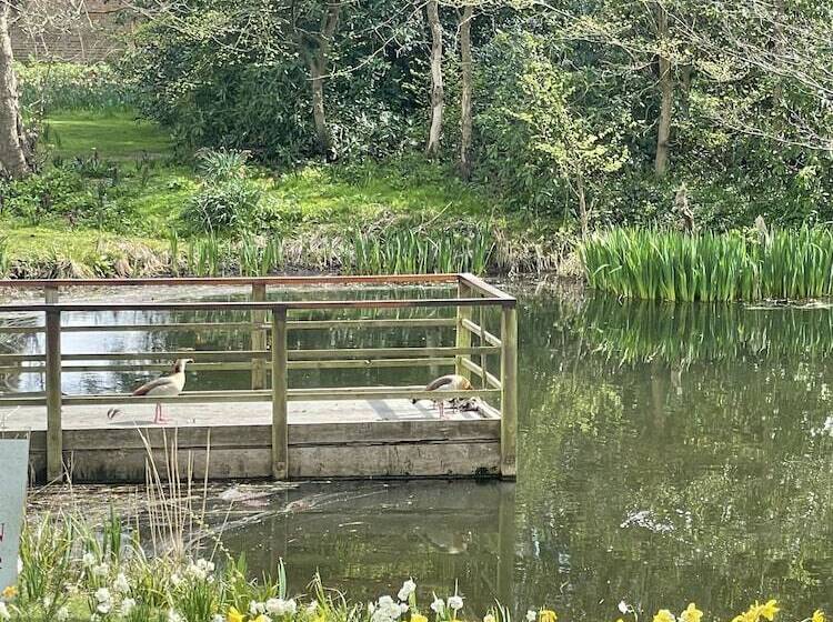 호텔 Stoke Place  Part Of The Cairn Collection