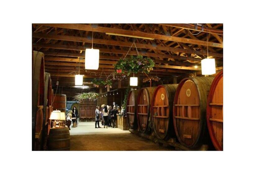 בית מלון כפרי Wanderlight Motor Inn