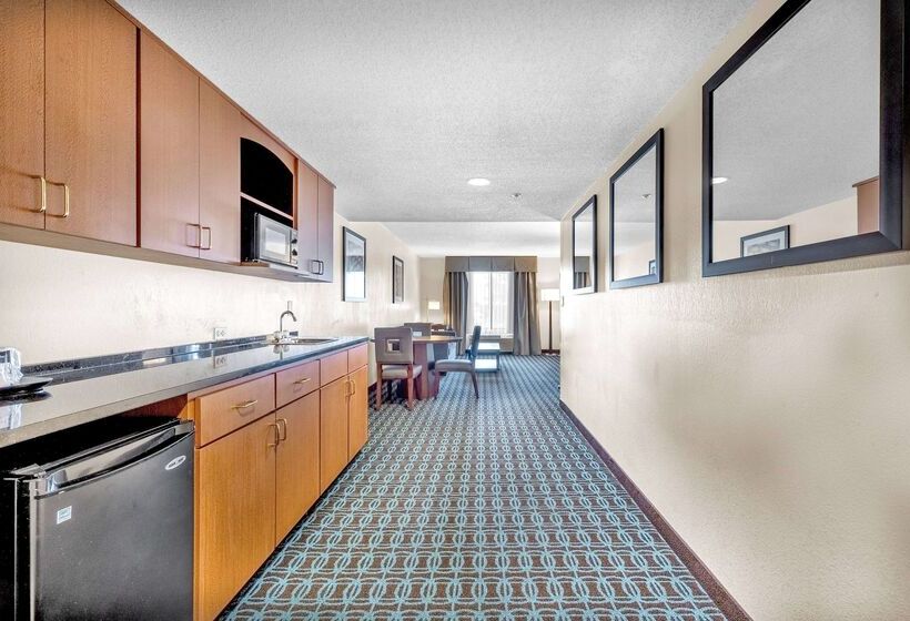 酒店 Wingate By Wyndham Schaumburg