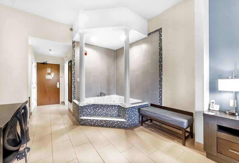 酒店 Wingate By Wyndham Schaumburg