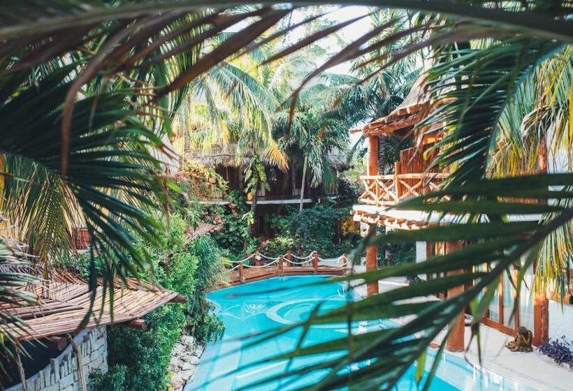 Casa Las Tortugas Petit Beach Hotel & Spa