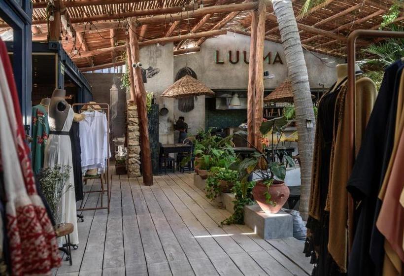 Casa Las Tortugas Petit Beach Hotel & Spa