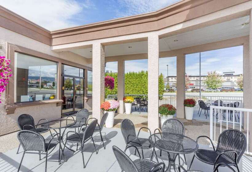 汽车旅馆  Super 8 By Wyndham Kelowna Bc