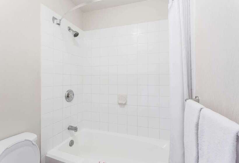 汽车旅馆  Super 8 By Wyndham Kelowna Bc