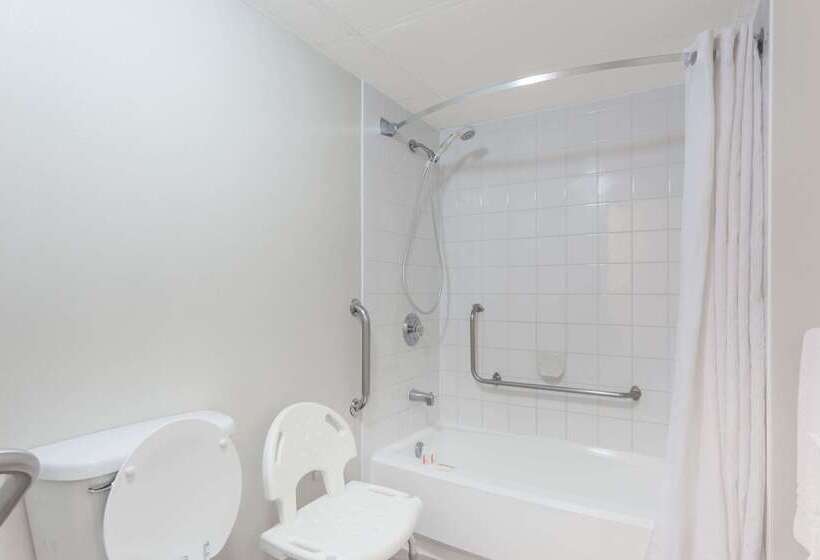 汽车旅馆  Super 8 By Wyndham Kelowna Bc