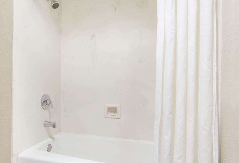 汽车旅馆  Super 8 By Wyndham Mountain View