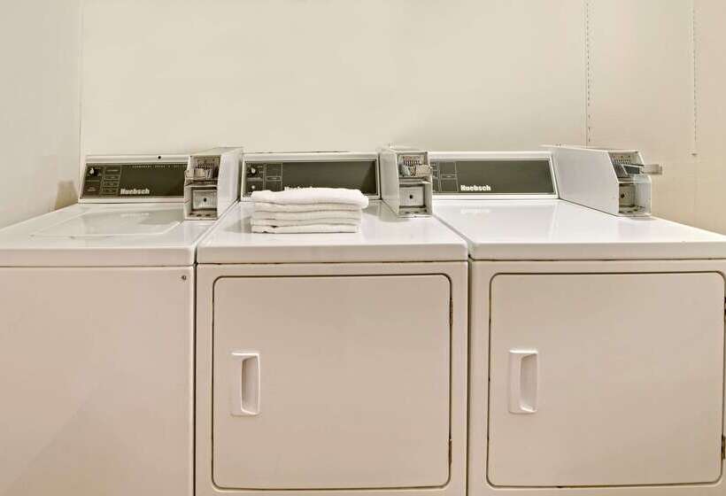 汽车旅馆  Super 8 By Wyndham Plano/dallas Area