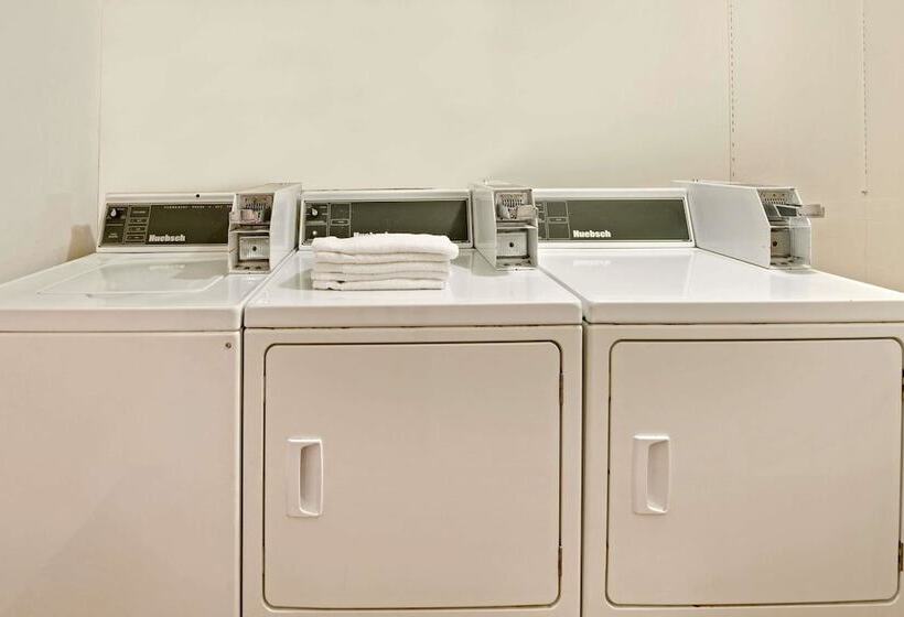 汽车旅馆  Super 8 By Wyndham Plano/dallas Area