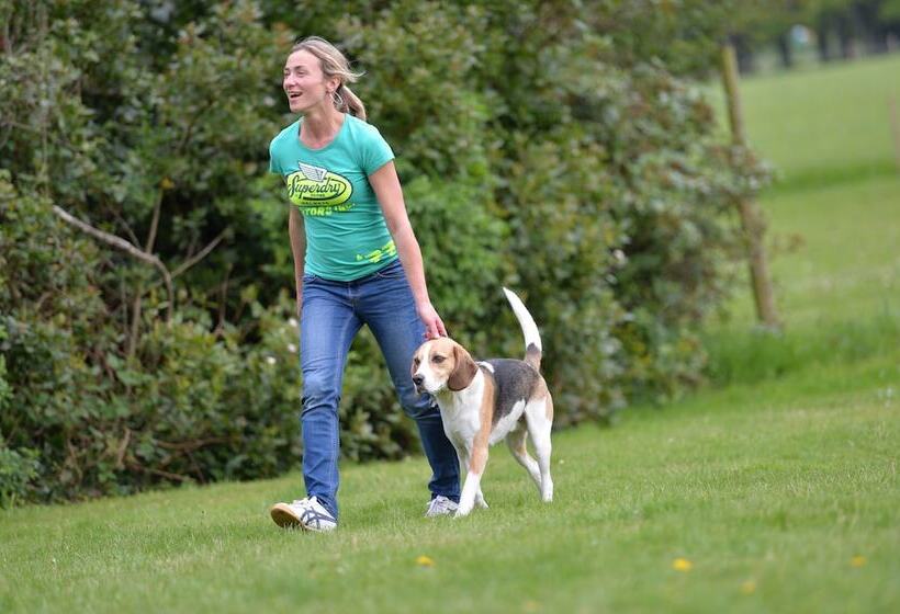 New Park Manor Hotel A Luxury Family