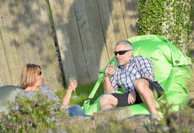 New Park Manor Hotel A Luxury Family