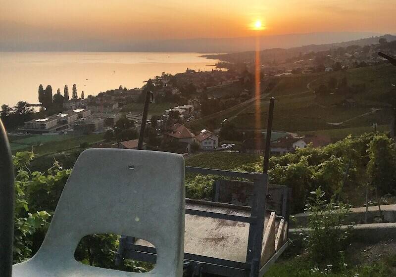 Rivage Hotel Restaurant Lutry